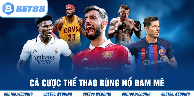 Thể thao sôi động với hàng trăm kèo cược xanh chín
