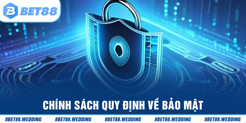 Chính sách bảo mật tổng quan về điều khoản cơ bản