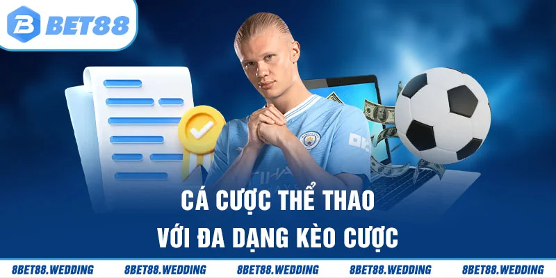 Cá cược thể thao với hàng trăm kèo từ các môn khác nhau