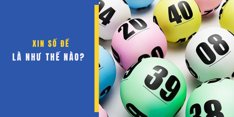 Khái niệm xin số đề cực kỳ dễ hiểu